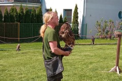 IMG_20250513_101634
