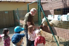 IMG_20250610_095912