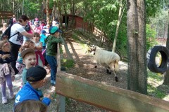 IMG_20250610_100534