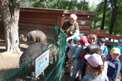 IMG_20250610_100830