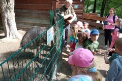 IMG_20250610_100939
