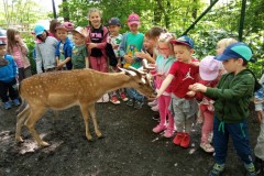 IMG_20250610_101808
