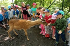 IMG_20250610_101810