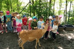 IMG_20250610_101818