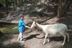 IMG_20250610_101933