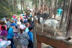 IMG_20250610_102759