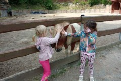 IMG_20250610_105643