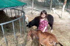 IMG_20250610_110311