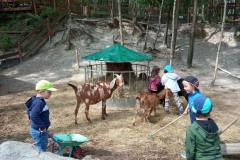 IMG_20250610_110325