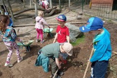 IMG_20250610_110346