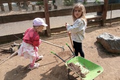 IMG_20250610_110619