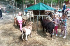 IMG_20250610_110755