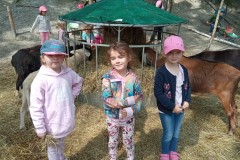 IMG_20250610_110852