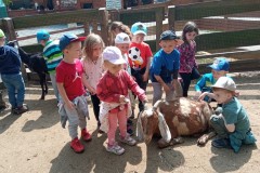 IMG_20250610_111152