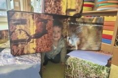 IMG_20260318_133122167_HDR