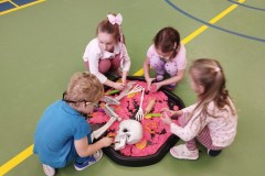 IMG_20260114_1117251